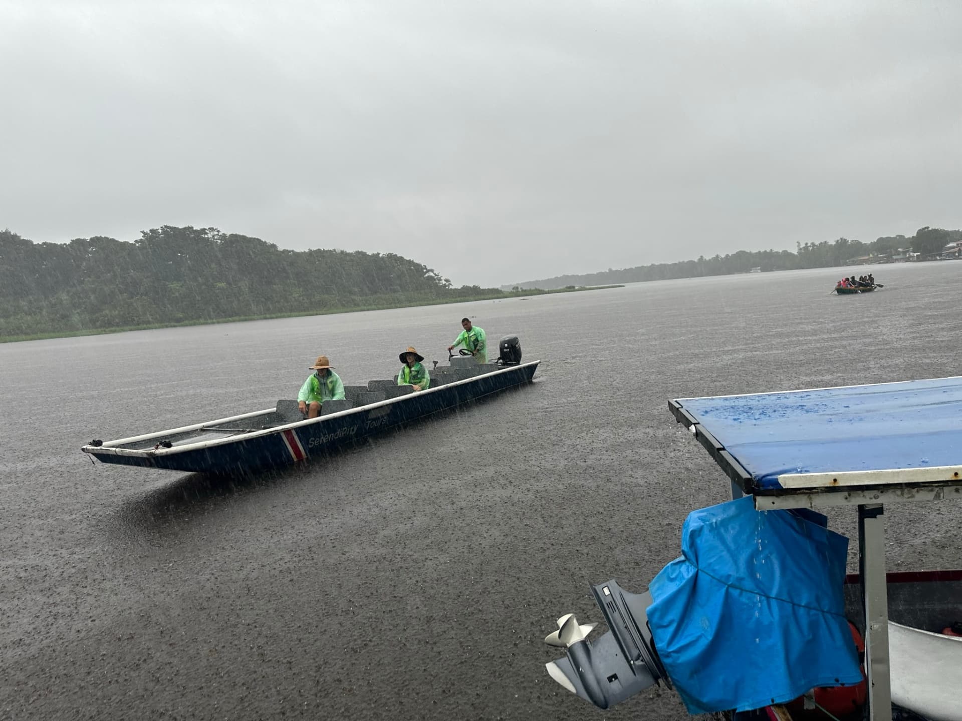Combo Boat tour,Palma,Tucan trail and Hill in Tortuguero Costa Rica