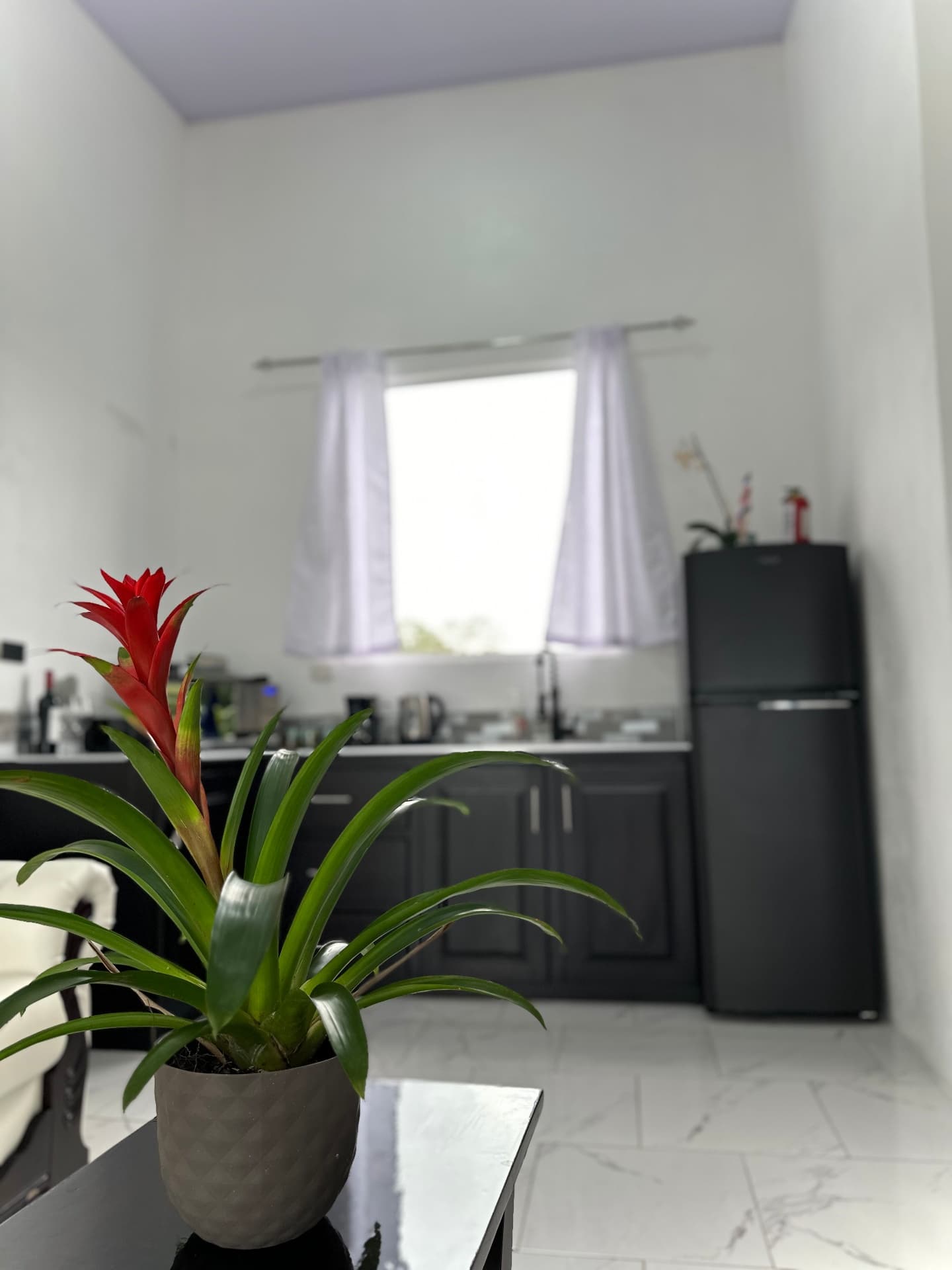 Premium Room — Ground Floor — photo 4